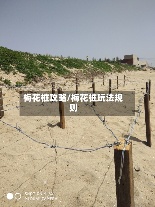 梅花桩攻略/梅花桩玩法规则