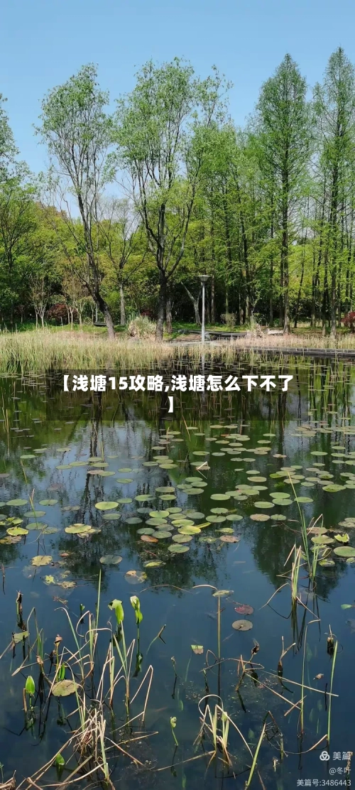 【浅塘15攻略,浅塘怎么下不了】