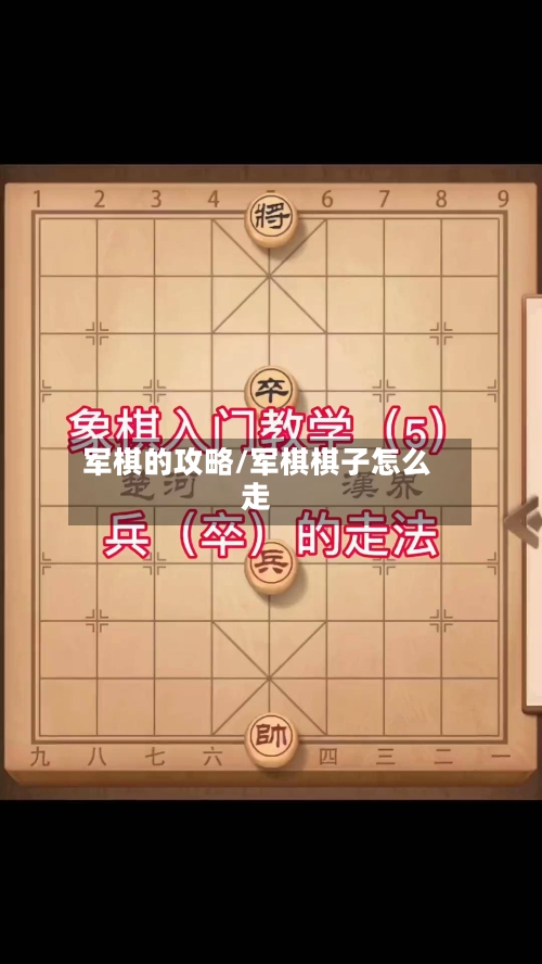 军棋的攻略/军棋棋子怎么走-第1张图片