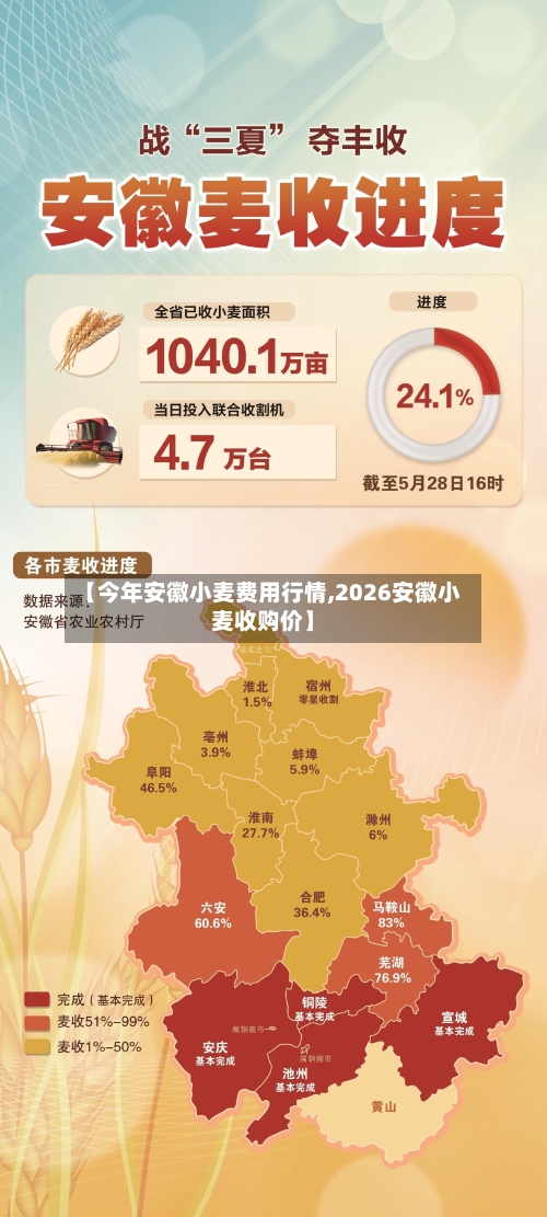 【今年安徽小麦费用行情,2026安徽小麦收购价】