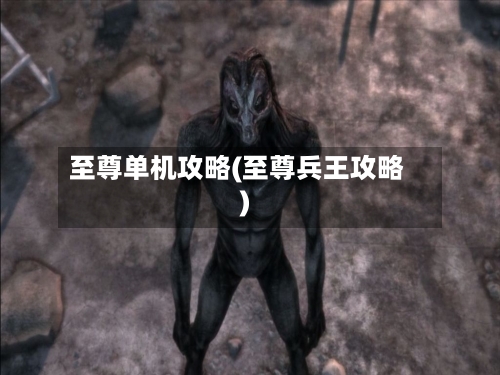 至尊单机攻略(至尊兵王攻略)