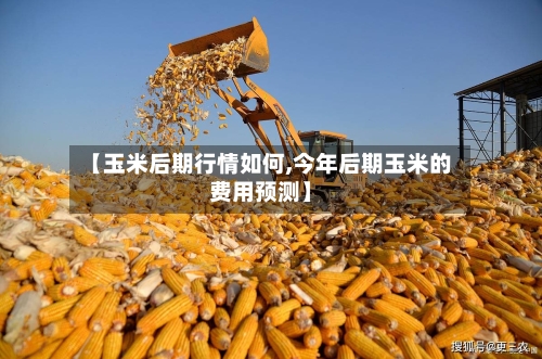 【玉米后期行情如何,今年后期玉米的费用预测】-第3张图片