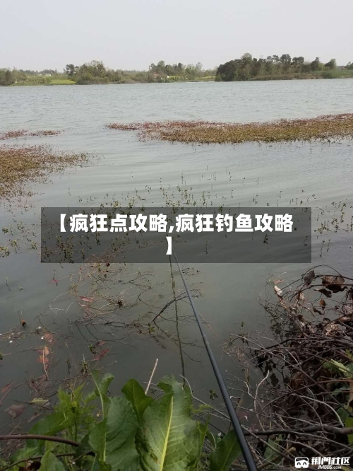 【疯狂点攻略,疯狂钓鱼攻略】