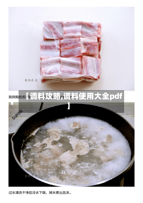 【调料攻略,调料使用大全pdf】