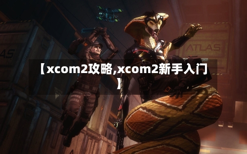 【xcom2攻略,xcom2新手入门】-第3张图片