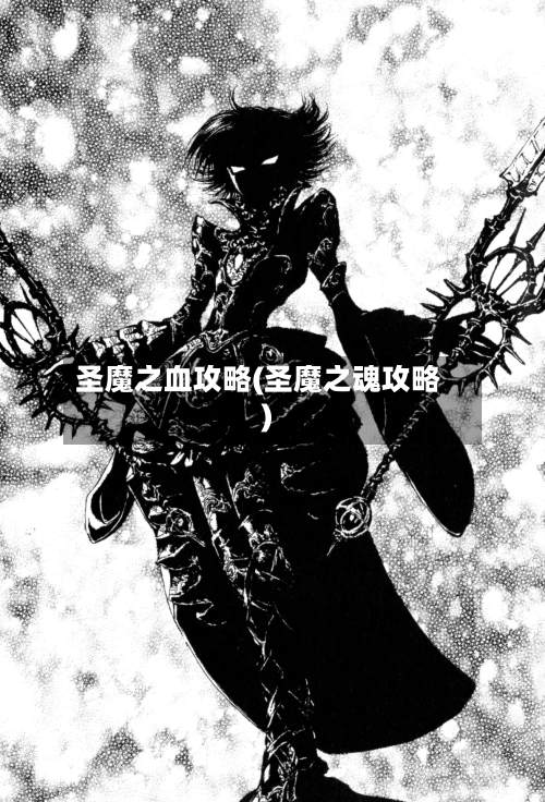 圣魔之血攻略(圣魔之魂攻略)