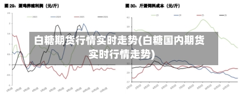 白糖期货行情实时走势(白糖国内期货实时行情走势)
