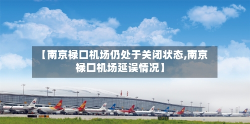 【南京禄口机场仍处于关闭状态,南京禄口机场延误情况】-第2张图片