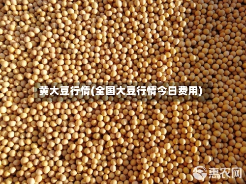 黄大豆行情(全国大豆行情今日费用)-第2张图片