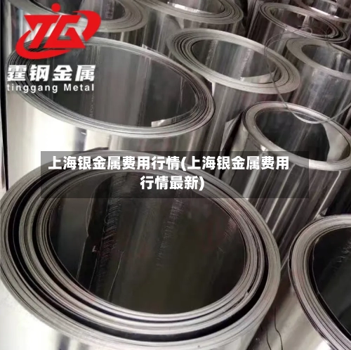 上海银金属费用行情(上海银金属费用行情最新)-第2张图片