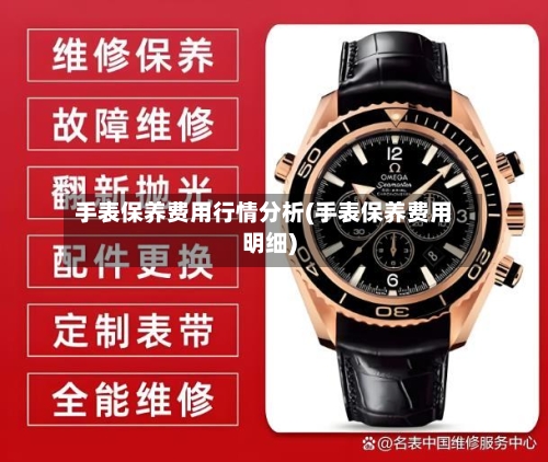 手表保养费用行情分析(手表保养费用明细)