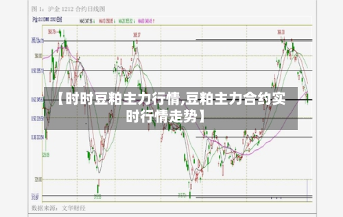【时时豆粕主力行情,豆粕主力合约实时行情走势】-第1张图片