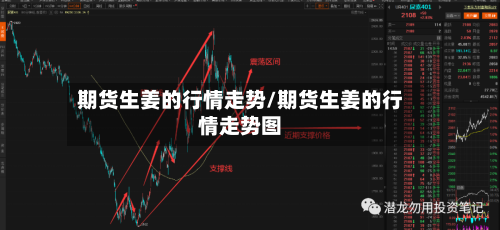 期货生姜的行情走势/期货生姜的行情走势图