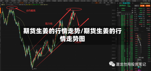 期货生姜的行情走势/期货生姜的行情走势图-第3张图片