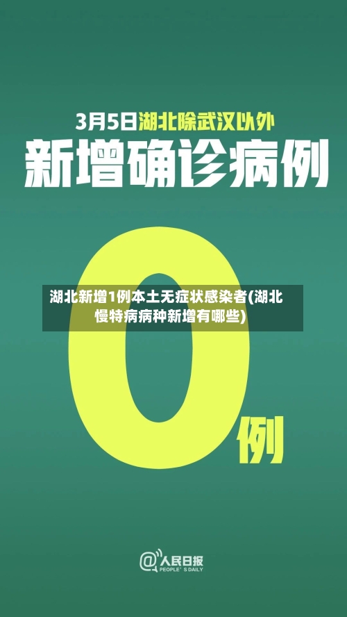 湖北新增1例本土无症状感染者(湖北慢特病病种新增有哪些)