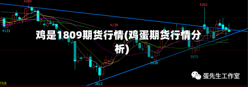 鸡是1809期货行情(鸡蛋期货行情分析)-第2张图片