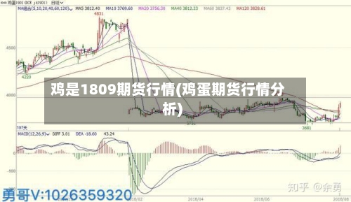 鸡是1809期货行情(鸡蛋期货行情分析)