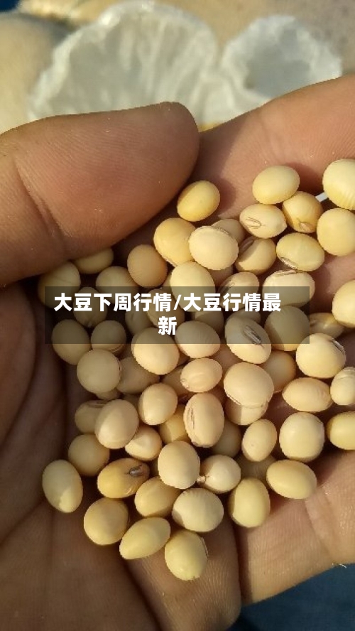 大豆下周行情/大豆行情最新-第3张图片