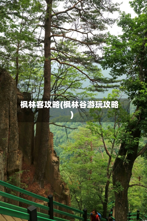 枫林客攻略(枫林谷游玩攻略)-第2张图片