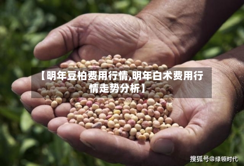 【明年豆柏费用行情,明年白术费用行情走势分析】-第2张图片