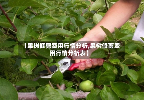 【果树修剪费用行情分析,果树修剪费用行情分析表】-第1张图片