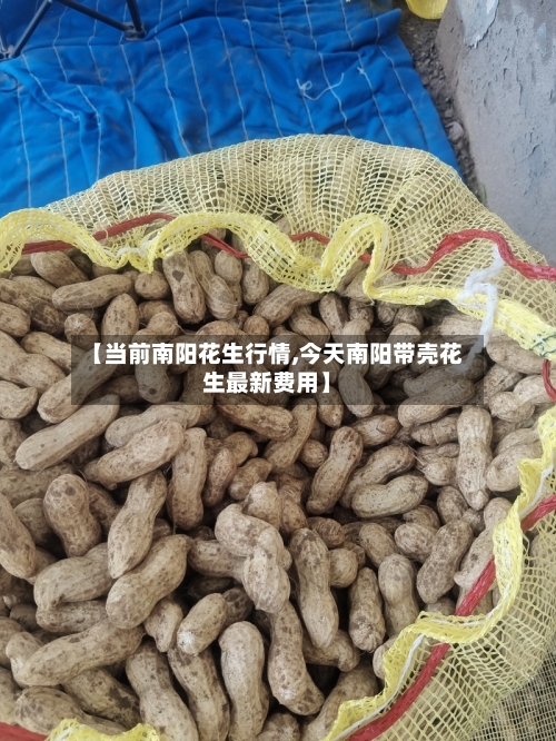 【当前南阳花生行情,今天南阳带壳花生最新费用】-第3张图片