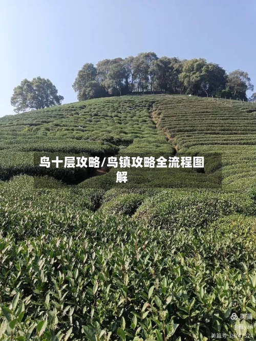 鸟十层攻略/鸟镇攻略全流程图解