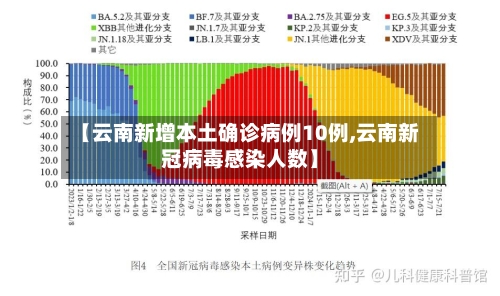 【云南新增本土确诊病例10例,云南新冠病毒感染人数】