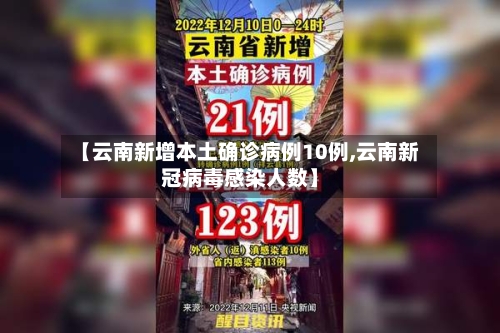 【云南新增本土确诊病例10例,云南新冠病毒感染人数】-第2张图片