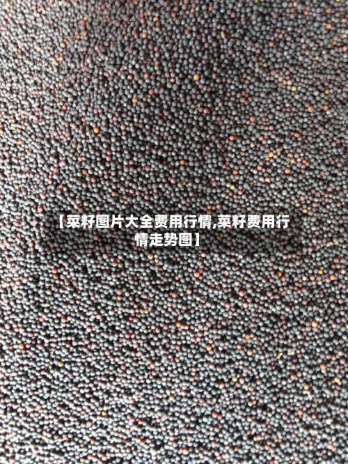 【菜籽图片大全费用行情,菜籽费用行情走势图】