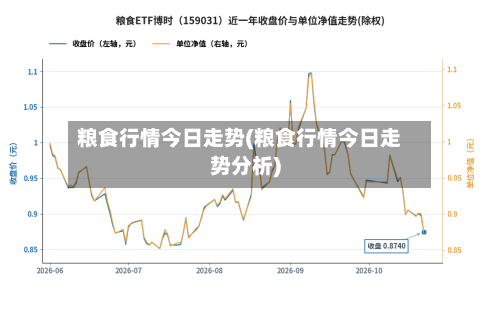 粮食行情今日走势(粮食行情今日走势分析)-第1张图片