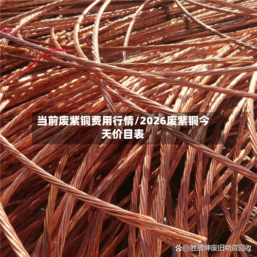 当前废紫铜费用行情/2026废紫铜今天价目表