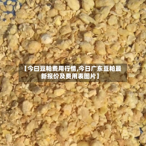【今曰豆粕费用行情,今日广东豆粕最新报价及费用表图片】