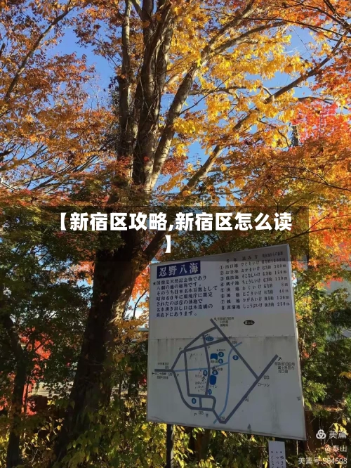 【新宿区攻略,新宿区怎么读】