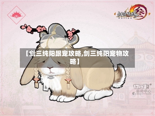 【剑三纯阳跟宠攻略,剑三纯阳宠物攻略】-第3张图片
