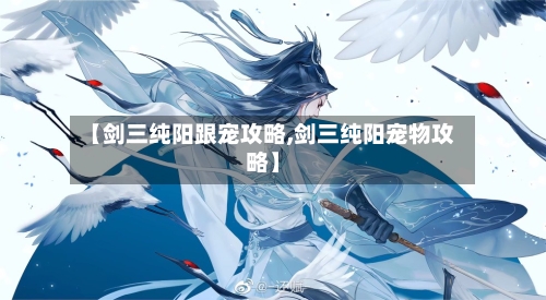 【剑三纯阳跟宠攻略,剑三纯阳宠物攻略】-第1张图片