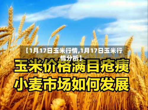 【1月17日玉米行情,1月17日玉米行情分析】