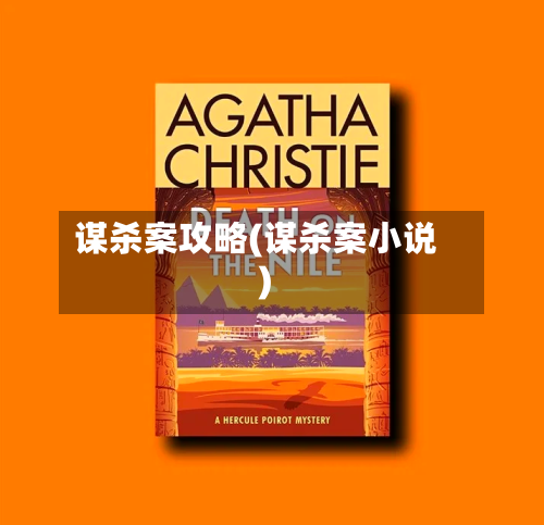 谋杀案攻略(谋杀案小说)-第3张图片