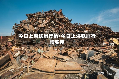 今日上海铁屑行情/今日上海铁屑行情费用