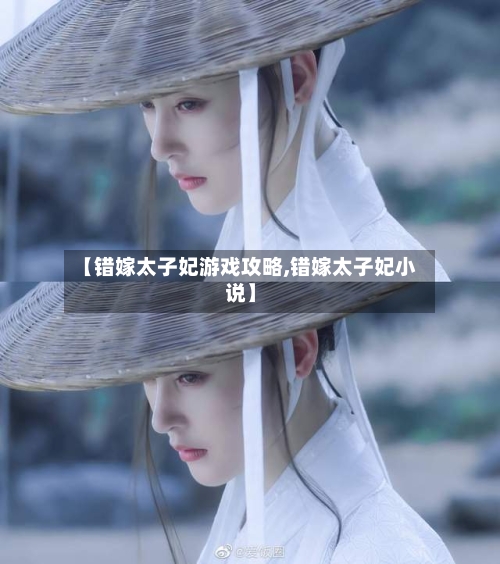 【错嫁太子妃游戏攻略,错嫁太子妃小说】-第3张图片