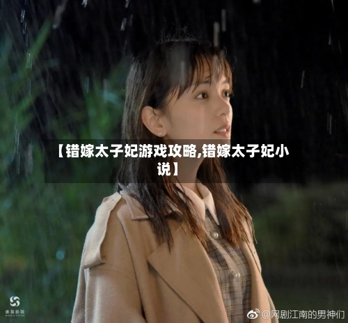 【错嫁太子妃游戏攻略,错嫁太子妃小说】