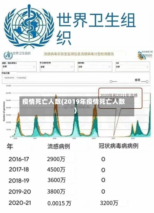 疫情死亡人数(2019年疫情死亡人数)-第2张图片