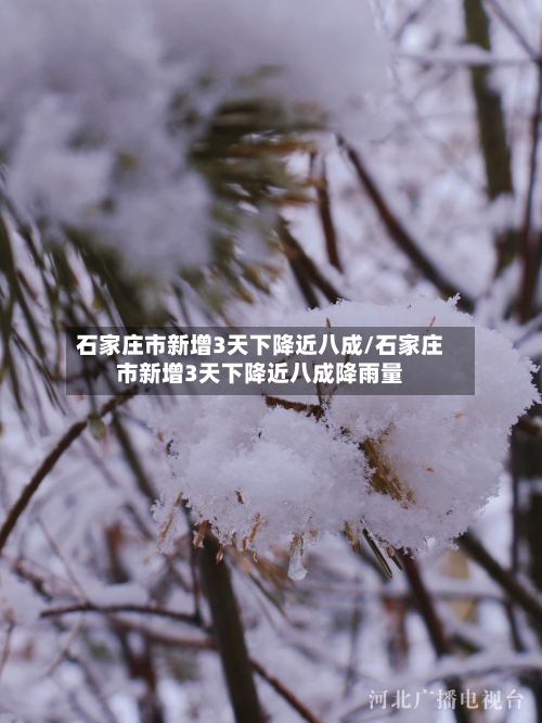 石家庄市新增3天下降近八成/石家庄市新增3天下降近八成降雨量