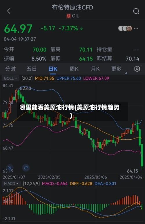 哪里能看美原油行情(美原油行情趋势)-第2张图片