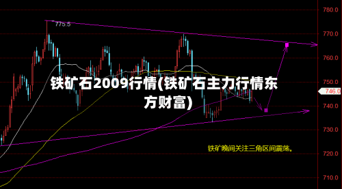 铁矿石2009行情(铁矿石主力行情东方财富)-第2张图片