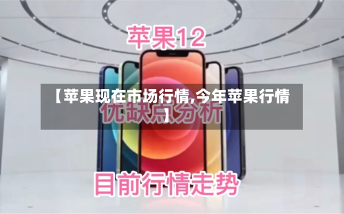 【苹果现在市场行情,今年苹果行情】