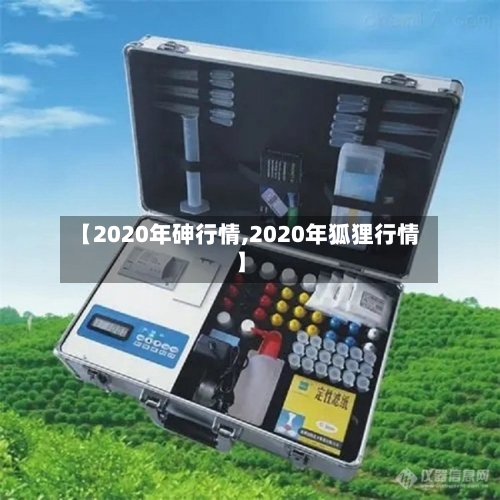 【2020年砷行情,2020年狐狸行情】-第3张图片