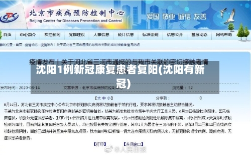 沈阳1例新冠康复患者复阳(沈阳有新冠)