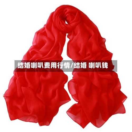 结婚喇叭费用行情/结婚 喇叭钱-第2张图片