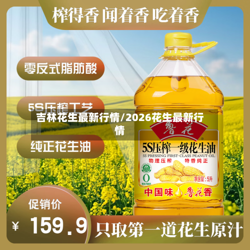 吉林花生最新行情/2026花生最新行情